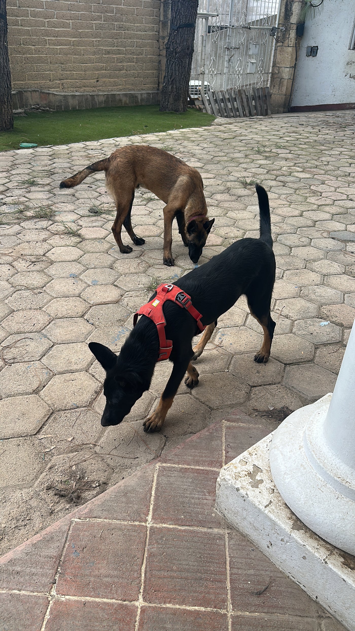 Explorando con los sentidos