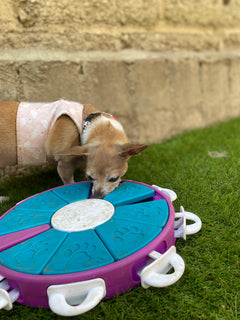 Rompecabezas | Dog Twister