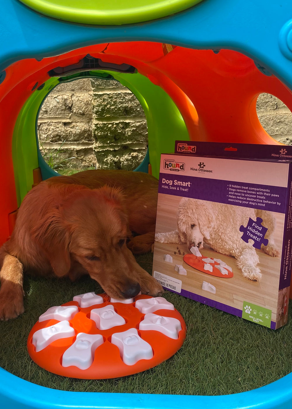 Rompecabezas | Dog Smart