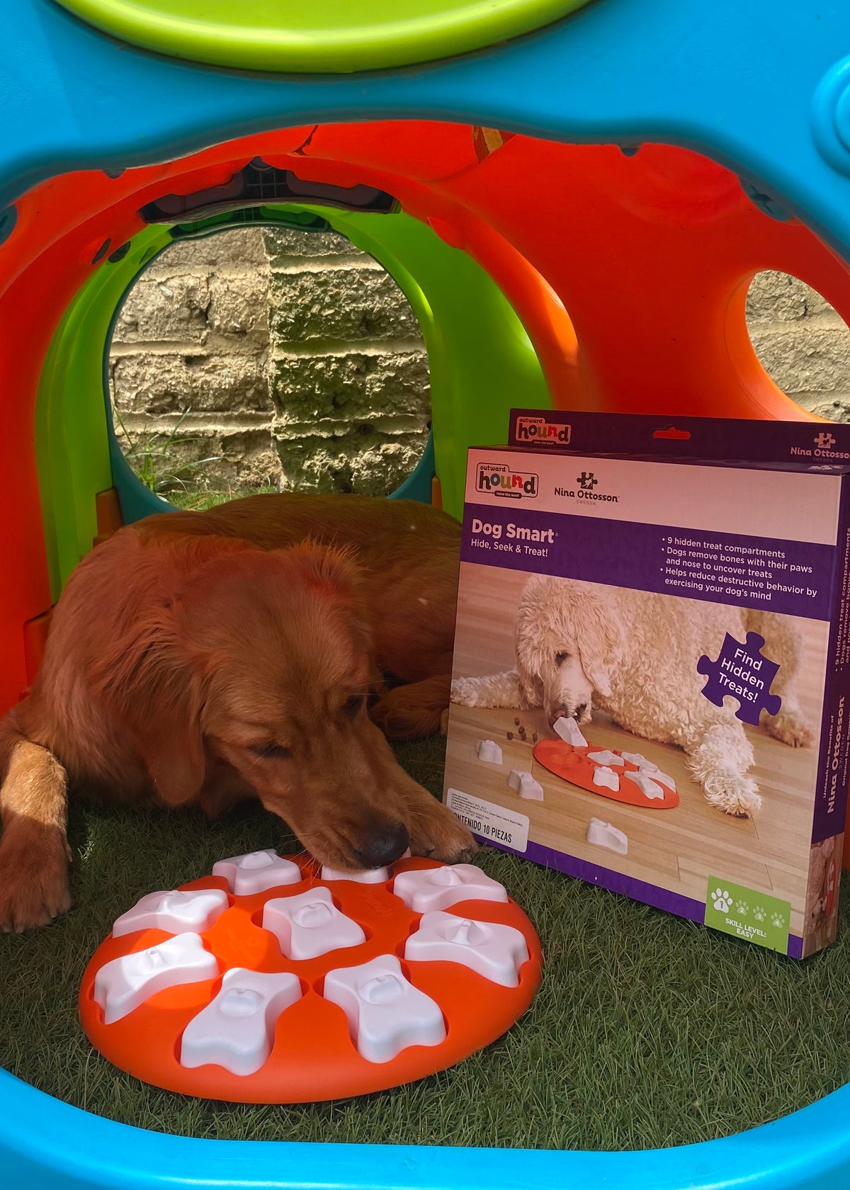 Rompecabezas | Dog Smart