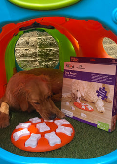 Rompecabezas | Dog Smart