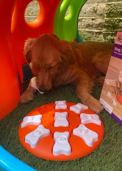 Rompecabezas | Dog Smart
